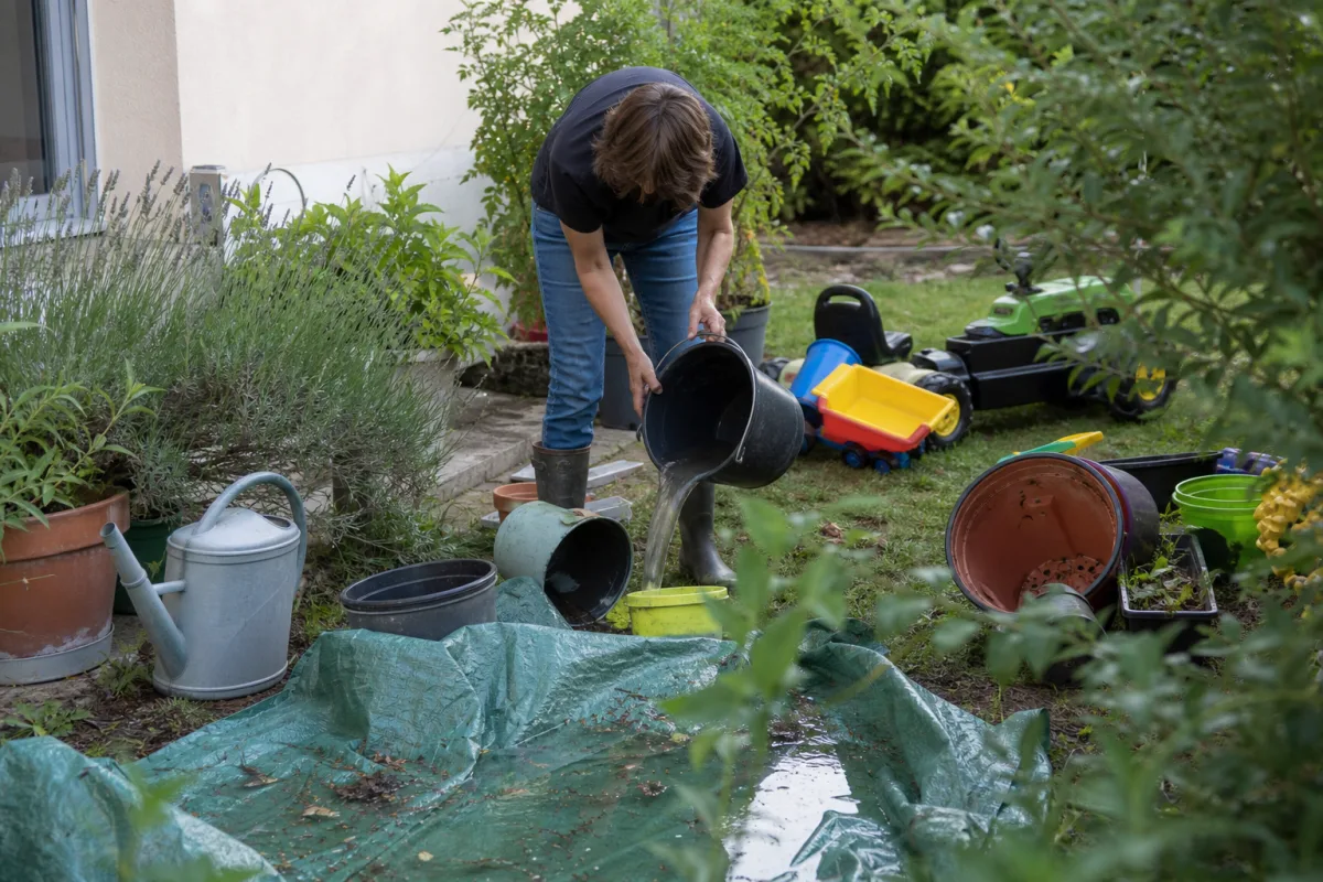 Un jardin avec moins de moustiques : les bons réflexes